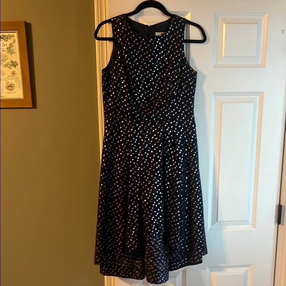 Elegant Navy Polka Dot Dress